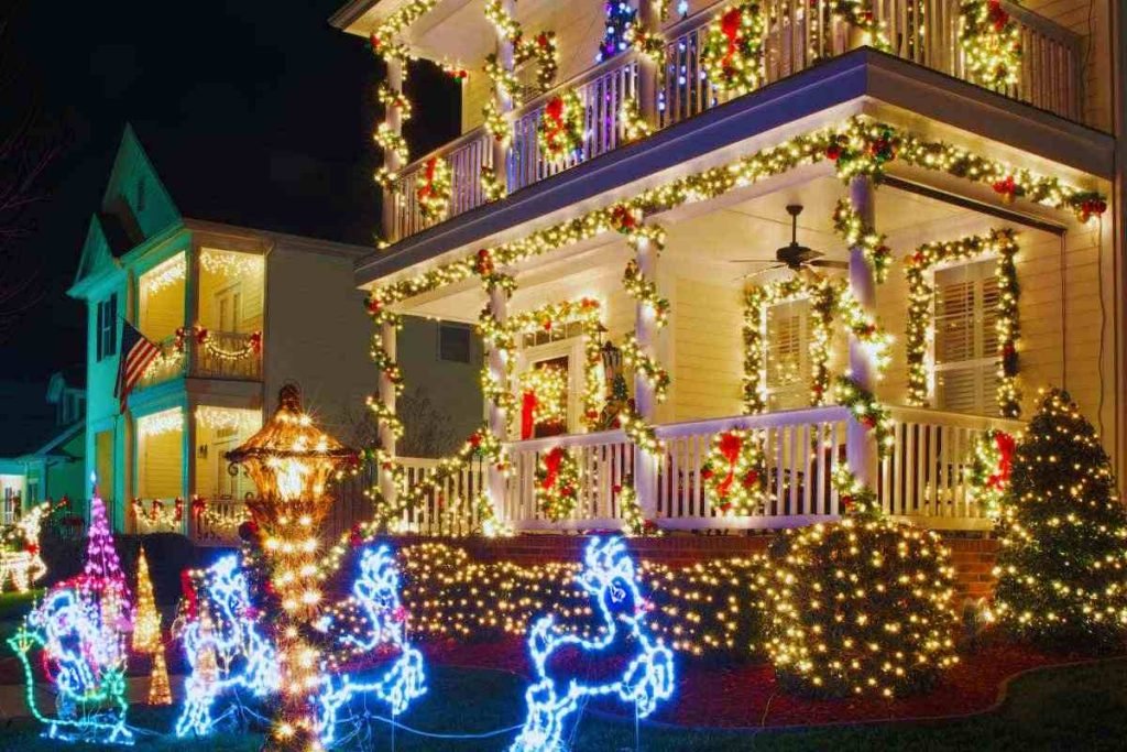 Holiday Lights Night Tours