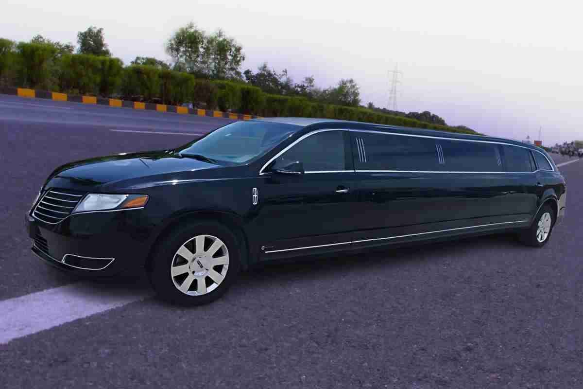 Professional Limo Services
