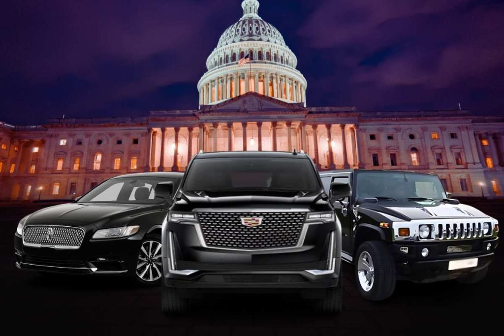 Why Choose Us for Your Night Tour