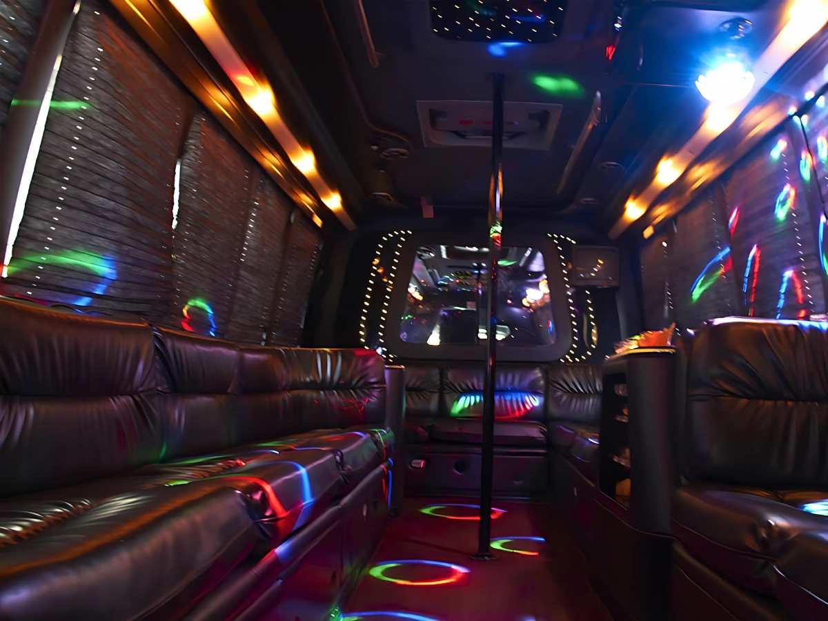 20 Passenger Party bus Interior