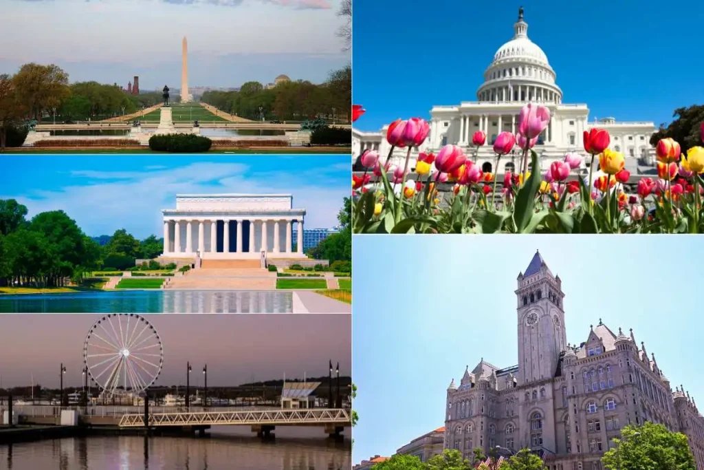 Explore Washington DC, Maryland, Virginia, & Beyond with Sedan Town Cars