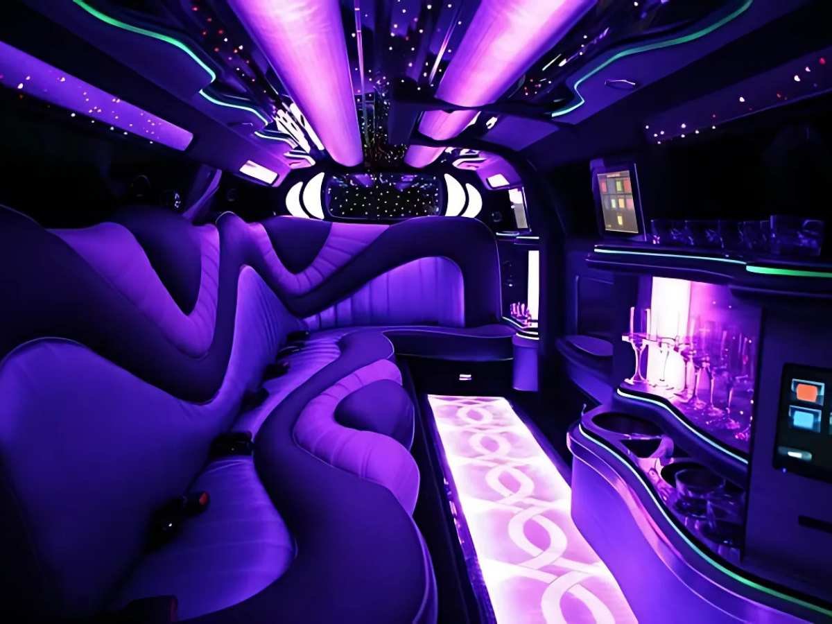 dc limousine tours